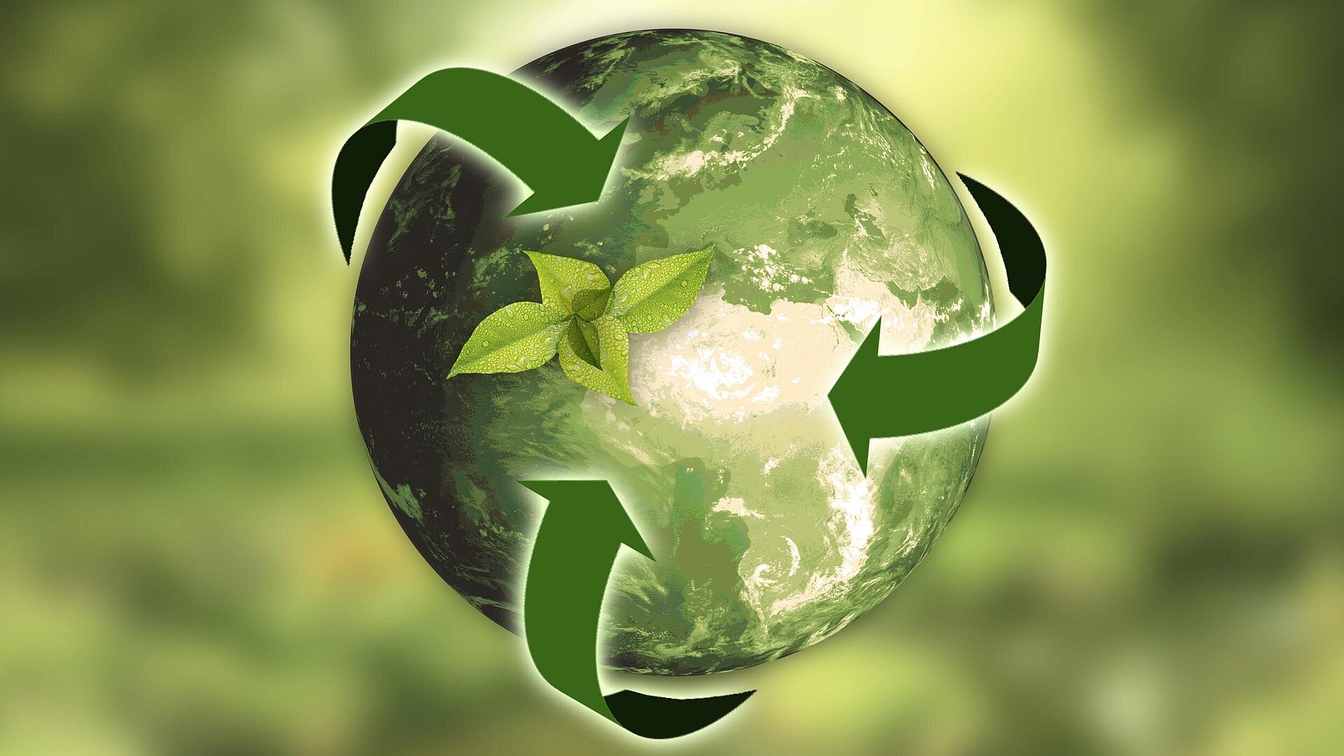 Nachhaltige Karriereentwicklung: Wie grüne Unternehmen die berufliche Entwicklung fördern