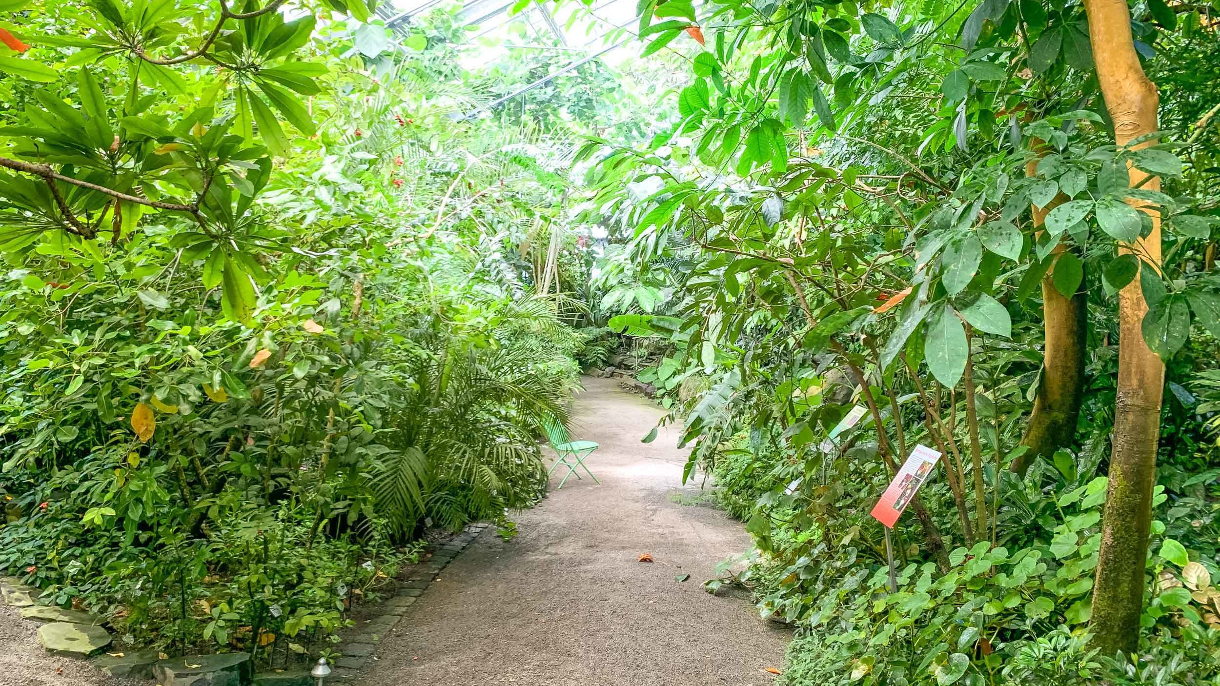 Ökologisch-Botanischer Garten Gewächshaus Ökologisch-Botanischer Garten Gewächshaus