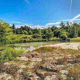 Ökologisch-Botanischer Garten der Universität Bayreuth Aussenanlagen Ökologisch-Botanischer Garten der Universität Bayreuth Aussenanlagen