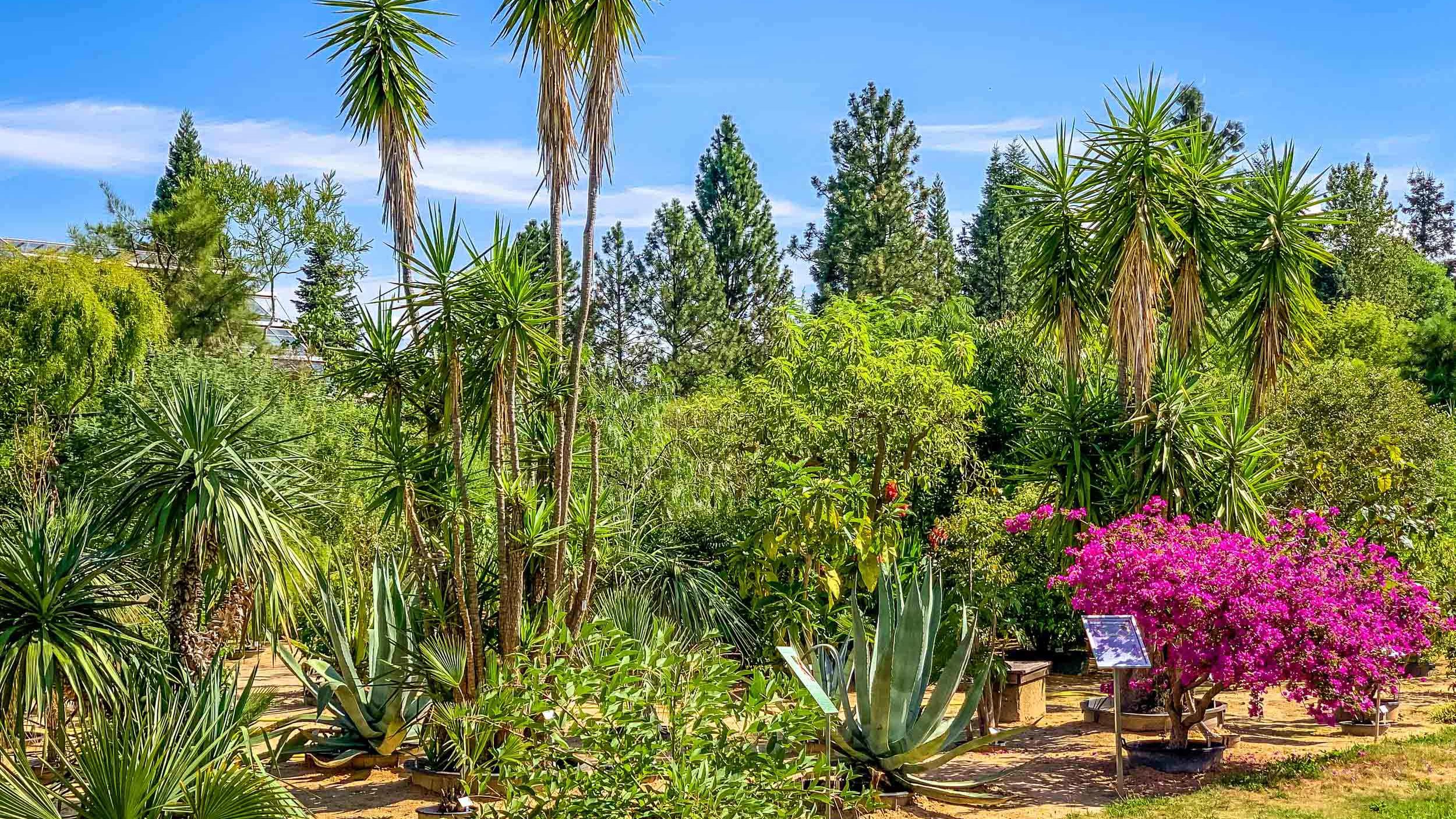 Ökologisch-Botanischer Garten der Universität Bayreuth Aussenanlagen Ökologisch-Botanischer Garten der Universität Bayreuth Aussenanlagen