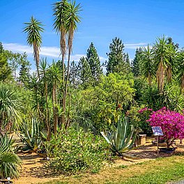 Ökologisch-Botanischer Garten der Universität Bayreuth Aussenanlagen Ökologisch-Botanischer Garten der Universität Bayreuth Aussenanlagen