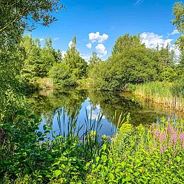 Ökologisch-Botanischer Garten der Universität Bayreuth Aussenanlagen Ökologisch-Botanischer Garten der Universität Bayreuth Aussenanlagen