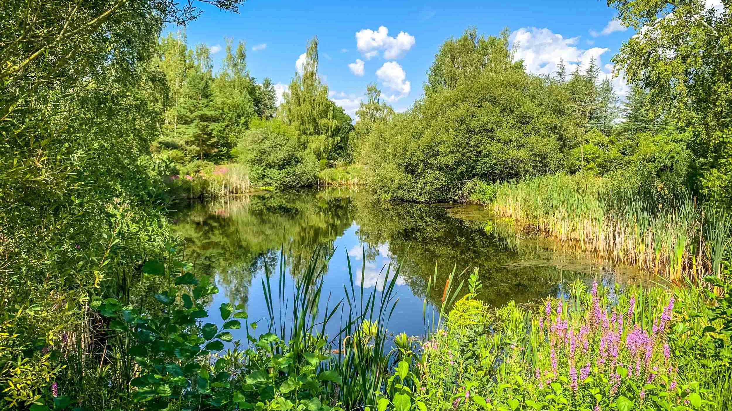 Ökologisch-Botanischer Garten der Universität Bayreuth Aussenanlagen Ökologisch-Botanischer Garten der Universität Bayreuth Aussenanlagen