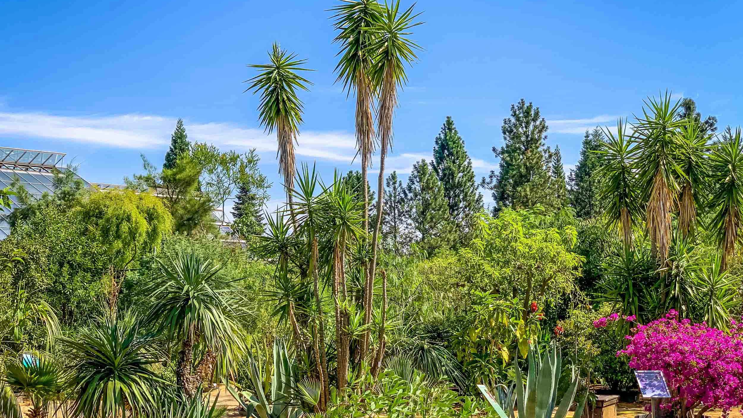 Ökologisch-Botanischer Garten der Universität Bayreuth Aussenanlagen Ökologisch-Botanischer Garten der Universität Bayreuth Aussenanlagen