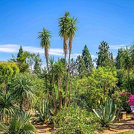 Ökologisch-Botanischer Garten der Universität Bayreuth Aussenanlagen Ökologisch-Botanischer Garten der Universität Bayreuth Aussenanlagen