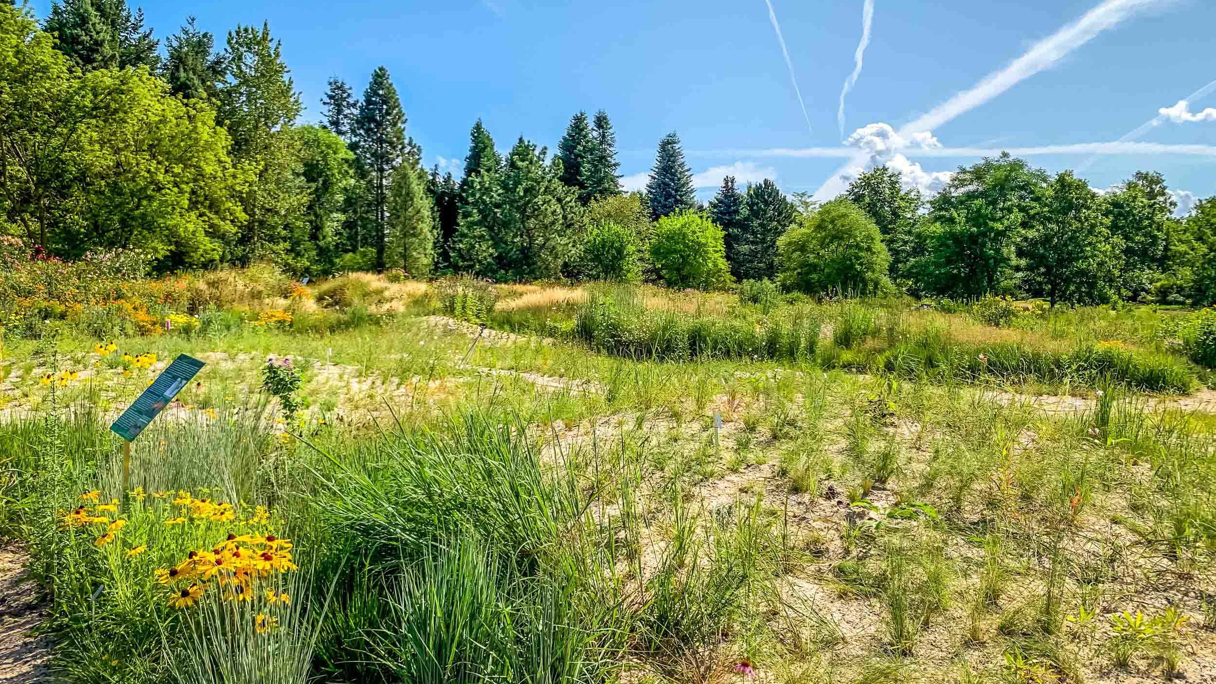 Ökologisch-Botanischer Garten der Universität Bayreuth Aussenanlagen Ökologisch-Botanischer Garten der Universität Bayreuth Aussenanlagen
