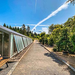Ökologisch-Botanischer Garten der Universität Bayreuth Aussenanlagen Ökologisch-Botanischer Garten der Universität Bayreuth Aussenanlagen