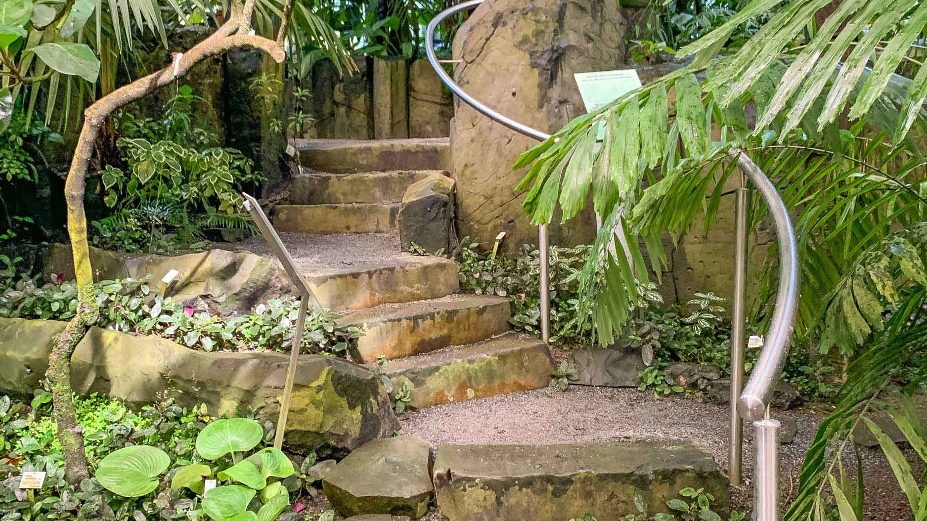 Ökologisch-Botanischer Garten Gewächshaus Ökologisch-Botanischer Garten Gewächshaus