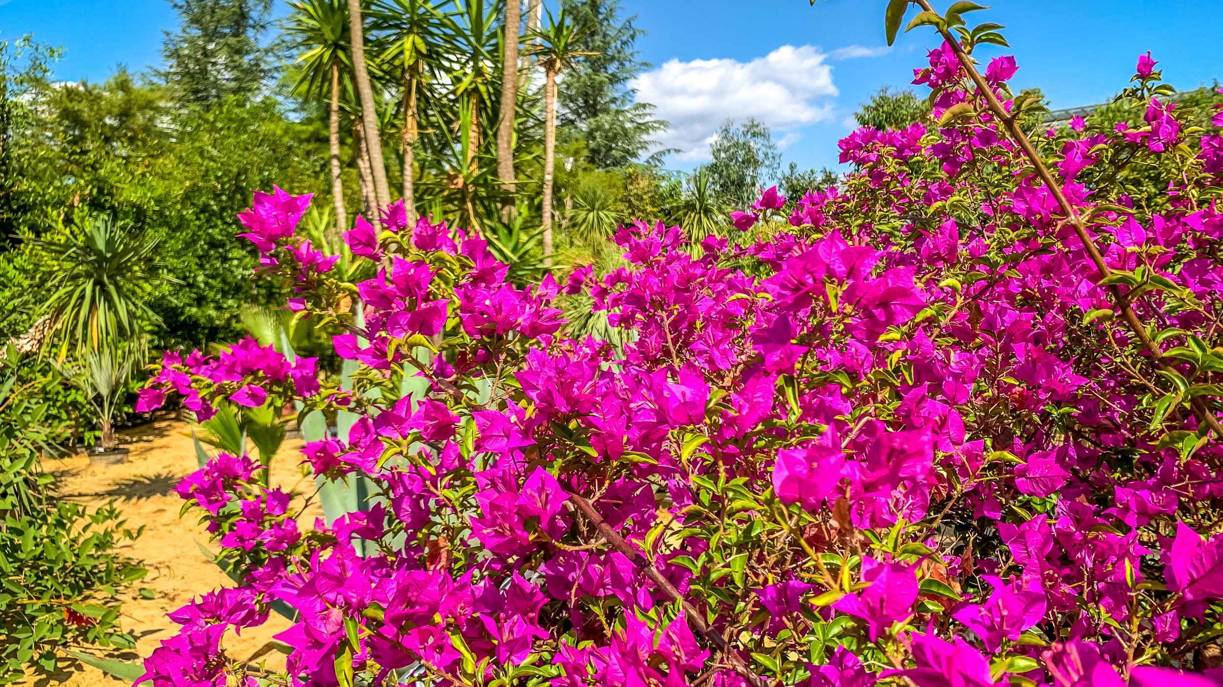 Ökologisch-Botanischer Garten der Universität Bayreuth Aussenanlagen Ökologisch-Botanischer Garten der Universität Bayreuth Aussenanlagen