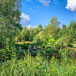 Ökologisch-Botanischer Garten der Universität Bayreuth Aussenanlagen Ökologisch-Botanischer Garten der Universität Bayreuth Aussenanlagen