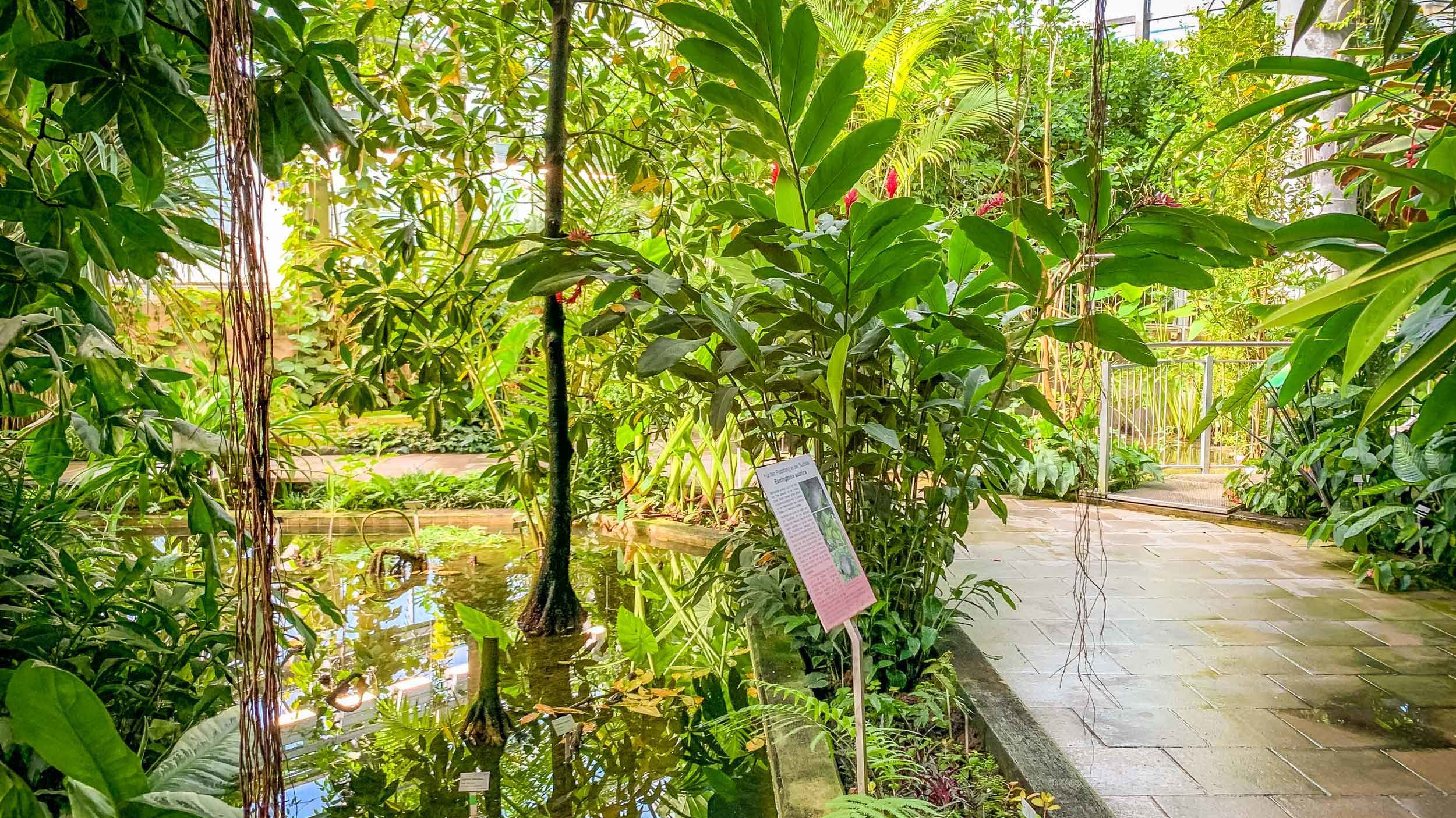 Ökologisch-Botanischer Garten Gewächshaus Ökologisch-Botanischer Garten Gewächshaus