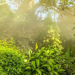 Ökologisch-Botanischer Garten Gewächshaus Ökologisch-Botanischer Garten Gewächshaus