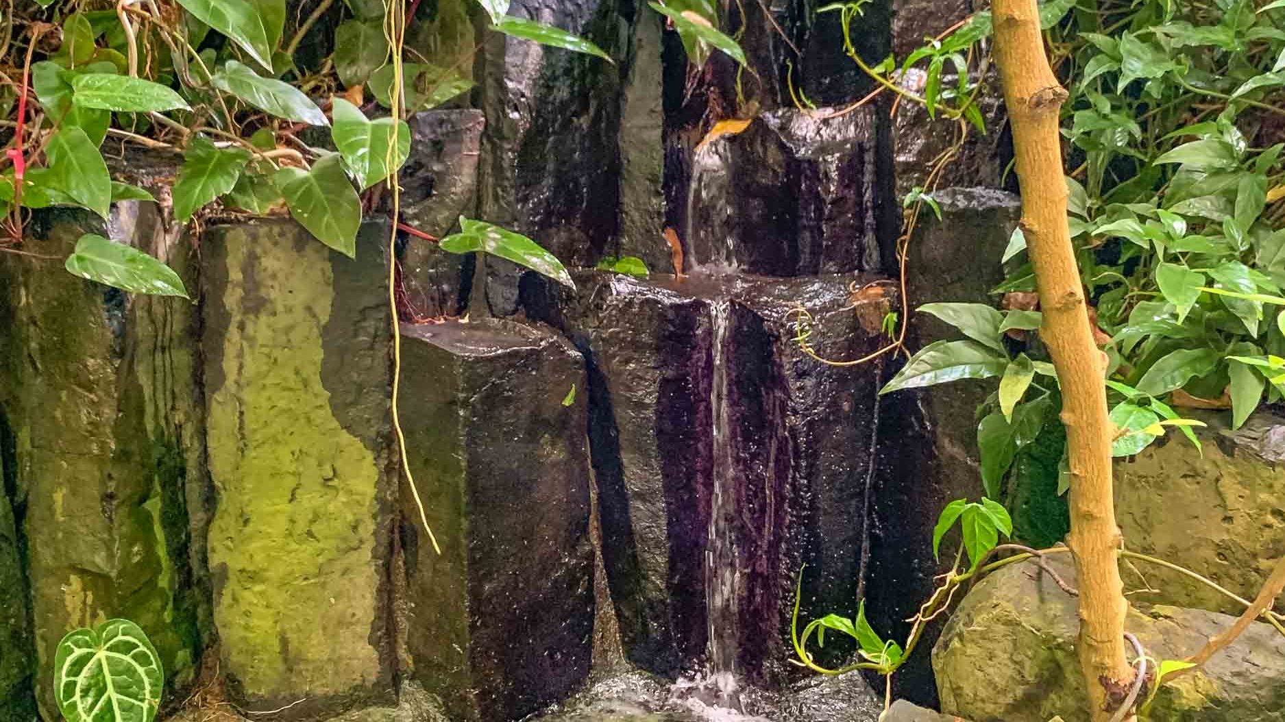 Ökologisch-Botanischer Garten Gewächshaus Ökologisch-Botanischer Garten Gewächshaus