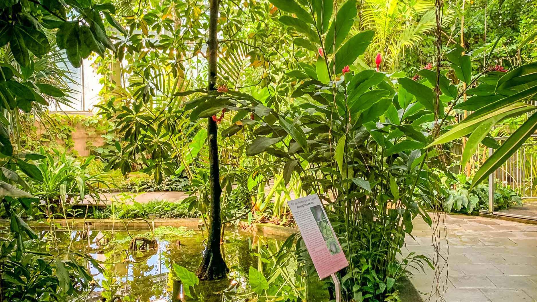 Ökologisch-Botanischer Garten Gewächshaus Ökologisch-Botanischer Garten Gewächshaus