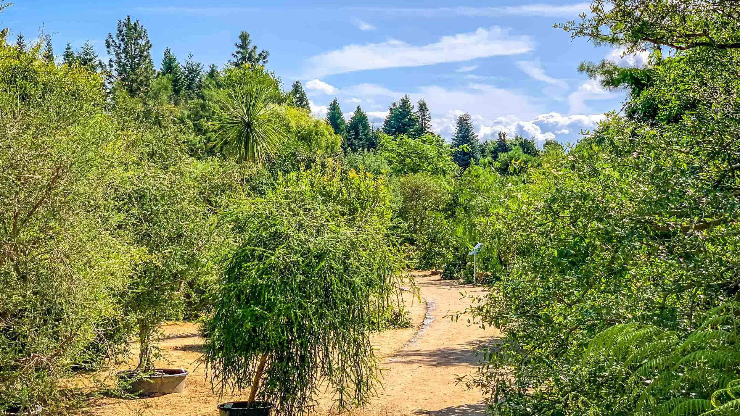 Ökologisch-Botanischer Garten der Universität Bayreuth Aussenanlagen Ökologisch-Botanischer Garten der Universität Bayreuth Aussenanlagen