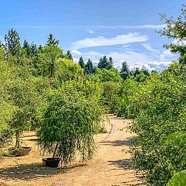 Ökologisch-Botanischer Garten der Universität Bayreuth Aussenanlagen Ökologisch-Botanischer Garten der Universität Bayreuth Aussenanlagen